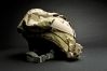 SureFire SureFire HL1 Helmet Light