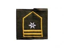 Bundesheer Fähnrich - Chorąży
