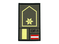 STEINADLER Leutnant Rank gewebt