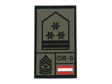 STEINADLER Offiziersstellvertreter Rank gewebt