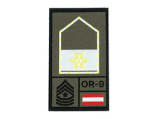STEINADLER Vizeleutnant Rank gewebt