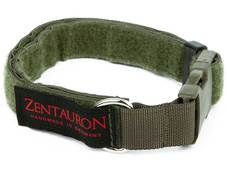 Zentauron Obroża Chester 2,5 cm